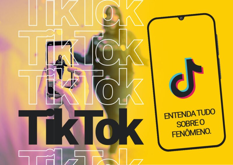 TUDO SOBRE TIKTOK visual data 6